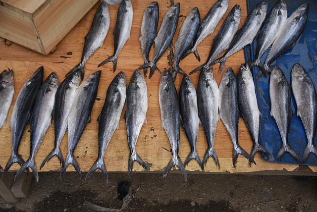 ����̩��ˮ��Ʒ��׼Ҫ�󼰱�������