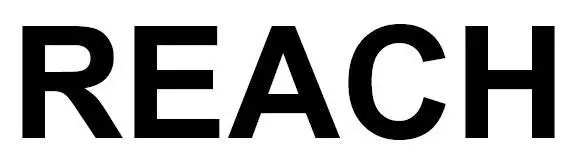 Ӣ��UK REACH�޶��������Ч