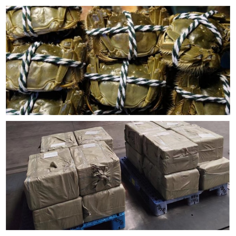 ��բз��������������̺�����